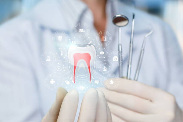 Best Root Canal Treatment  in Lake Cassidy, WA